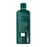Buy Dr.Batra`s Hair Fall Protect Shampoo (500 ml) - Purplle