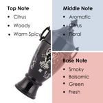 Buy BN Victory Pour Homme Premium Perfume For Men, Fabric Spray Perfume, Long Lasting Fragrance 100 Ml - Purplle