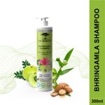 Buy Colorbar Co-earth Bhringa mla Shampoo-(300 ml) - Purplle