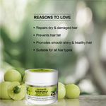Buy Colorbar Co-earth Bhringamla Hair Mask-(200 gm) - Purplle