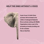 Buy Colorbar Co-earth Onion Hair Serum-(100 ml) - Purplle