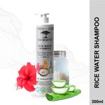 Buy Colorbar Co-earth Rice Water Shampoo-(300 ml) - Purplle