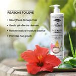 Buy Colorbar Co-earth Rice Water Shampoo-(300 ml) - Purplle