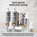 Buy Colorbar Co-earth Rice Water Hair Serum-(100ml) - Purplle