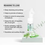 Buy Colorbar Co-earth Tea Tree Foaming Face Wash-(150 ml) - Purplle