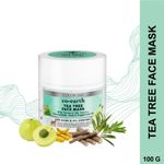 Buy Colorbar Co-earth Tea Tree Face Mask-(100g) - Purplle