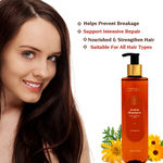 Buy Omeo Arnica Shampoo with Natural Extracts of Arnica, Calendula and Thuja to Reduce HairFall and Promote Hair Growth, Strengthening and Nourishing - For Women & Men - 180 ml - Purplle