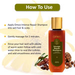 Buy Omeo Intense Repair Shampoo With Benefits from Natural Ingredients of Reetha, Shikakai, Calendula and Thuja | Cleansing and Nourishing on Hair For Men & Women 100 ml - Purplle