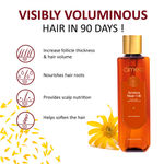 Buy Omeo Pure and Natural Arnica Jaborandi Hair Oil, 100% Herbal Extract, Reduces Hair Fall, Promotes Hair Growth and Strong Hair- For Male and Female, 100 ml - Purplle
