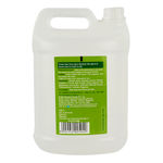 Buy Omeo Aloe Vera Alcohol Based Atibacterial Sanitizer Can - 5 Litre - Purplle