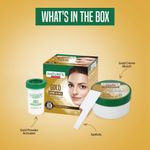 Buy Nature's Essence Gold Creme Bleach (43 g) - Purplle