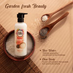 Buy Buds & Berries Rice Water and Chia Seeds Hair Nourishment Regimen (Shampoo + Hair Mask) 300 ml+200 ml - Purplle