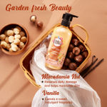 Buy Buds & Berries Body Wash Combo Offer | Shea Butter, Argan Oil Moisturizing Body Wash + Macadamia, Vanilla Moisturizing Body Wash (300 ml + 300 ml) - Purplle