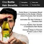 Buy Soulflower Natural Bhringraj Oil with Coconut And Sesame, 120 ml - Purplle