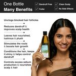 Buy Soulflower Tea Tree Scalp and Anti Dandruff Hair Oil 120 ml - Purplle