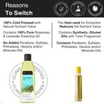 Buy Soulflower Tea Tree Scalp and Anti Dandruff Hair Oil 120 ml - Purplle