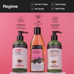 Buy Soulflower Pure And Natural Rosemary Lavender Healthy Hair Oil 120ml - Purplle