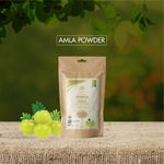 Buy WILD ORGANIC Organic Amla Indian Gooseberry Powder for Hair and skin,100g - Purplle