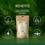 Buy WILD ORGANIC Organic Amla Indian Gooseberry Powder for Hair and skin,100g - Purplle