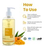 Buy WILD ORGANIC Glowing Ubtan Body Wash Soothing And Moisturizing Skin 300Ml - Purplle