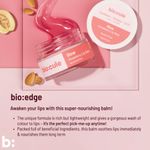 Buy Biocule Vitamin E Strawberry Glow Lip Balm For Glowing Lips & Deep Moisturization 100% Natural 12G - Purplle