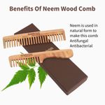 Buy BodyHerbals Anti Static Handmade 100 % Natural Neem Wood Comb Set, Gift Sets of Handle Rake and Wide Tooth Combs - Purplle