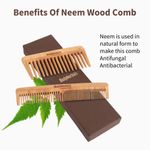 Buy BodyHerbal Anti Static Handmade 100 % Natural Neem Wood Comb Set, Gift Sets of Wide Tooth Travel Comb and Double Tooth Comb - Purplle