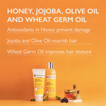 Buy Godrej Professional Probio Honey Moisture Shampoo (250ml) - Purplle