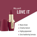 Buy Seven Seas Lip Comfort Velvet Matte Lipstick (Chestnut Rose-II, 4.2 g) - Purplle
