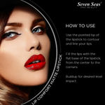 Buy Seven Seas Lip Comfort Velvet Matte Lipstick (Chestnut Rose-II, 4.2 g) - Purplle