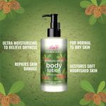 Buy Iba Oatmeal & Shea Moisture Boost Body Lotion l Deep Moisturization for Winters | Normal to Dry Skin | 100% Vegan - Purplle