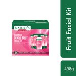 Buy Nature's Essence Gentle Fruit Facial Kit (498 g) - Purplle