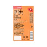 Buy Lakme Lip Love Chapstick SPF 15 - Apricot - Purplle