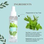 Buy Richfeel Peppermint & Tea Tree Face Mist 100 ML - Purplle