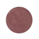 Buy DeBelle Gel Nail Lacquer Classy Chloe (Dark Mauve with Micro Shimmer) - (6 ml) - Purplle