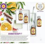 Buy Deve Herbes Pure Anise Essential Oil (Pimpinella anisum) with Glass Dropper Natural Therapeutic Grade Steam Distilled 10ml - Purplle