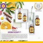 Buy Deve Herbes Pure Bergamot Essential Oil (Citrus bergamia) Natural Therapeutic Grade (Pack of tow) 100mlx2 - Purplle