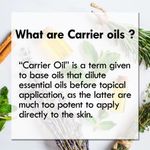 Buy Deve Herbes Pure Camellia Oil (Camellia kissi) Natural Therapeutic Grade Cold Pressed 5ml - Purplle