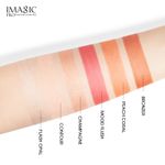 Buy Imagic Highlight & Blush & Contour Palette (FA-126) 24g - Purplle