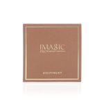 Buy IMAGIC PROfessional SCULPTING KIT FA129 - Warm Golden - Purplle