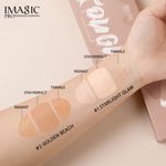 Buy IMAGIC PROfessional Cosmetics Soft and Subtle Contour - Golden Beach (22g) FA-131-02 - Purplle