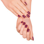 Buy Elle 18 Nail Pops 188 5ml - Purplle