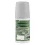 Buy Sirona Underarm Roll On Deodorant for Women & Men | Removes Odour, Long Lasting & Alcohol Free | Oud Allure - 50 ml - Purplle