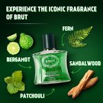 Buy Brut Original After Shave Lotion for Men, Long-Lasting Fragrance, Soothes Skin (100 ml) - Purplle