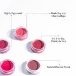 Buy Aravi Organic Lip and Cheek Tint - With Goodness of Vitamin E & Candelila Wax - Nourishes & Hydrates Dry Chapped Lips, Blush & Eyeshadow Fo All Skin Types - 8 gm (Peony Peach) - Purplle