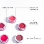 Buy Aravi Organic Lip and Cheek Tint - With Goodness of Vitamin E & Candelila Wax - Nourishes & Hydrates Dry Chapped Lips, Blush & Eyeshadow Fo All Skin Types - 8 gm (Poppy Pink) - Purplle