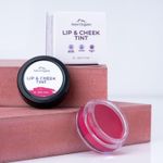 Buy Aravi Organic Lip and Cheek Tint - With Goodness of Vitamin E & Candelila Wax - Nourishes & Hydrates Dry Chapped Lips, Blush & Eyeshadow Fo All Skin Types - 8 gm (Beet Pink) - Purplle