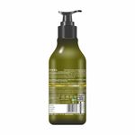 Buy Oshea Herbals Onion And Ginger Shampoo 300 ml - Purplle