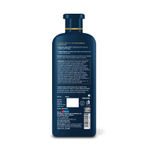 Buy Dr.Batra`s PRO+ Hair Fall Protect Shampoo. Enriched with Moroccan Argan Oil Thuja Extracts. Protects hair fall. Strengthens hair from the roots. 350 ml - Purplle