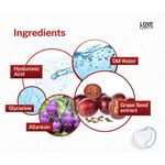 Buy Love Earth Hyaluronic Acid Toner with Grape seed extract and Hyaluronic Acid for Wrinkle Free, Smooth and Glowing Skin 100 ml - Purplle